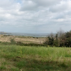 paysage grve des courses