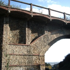 IMGP0420