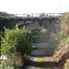 IMGP0421