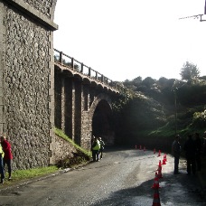 IMGP0425