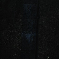 DSC_0187