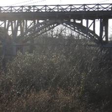 DSC_0216